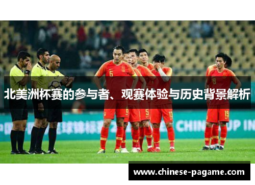 北美洲杯赛的参与者、观赛体验与历史背景解析