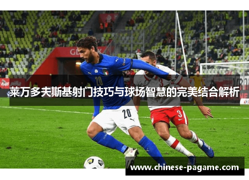 莱万多夫斯基射门技巧与球场智慧的完美结合解析